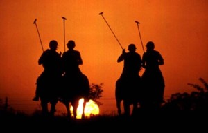 polo_at_sunsetlg