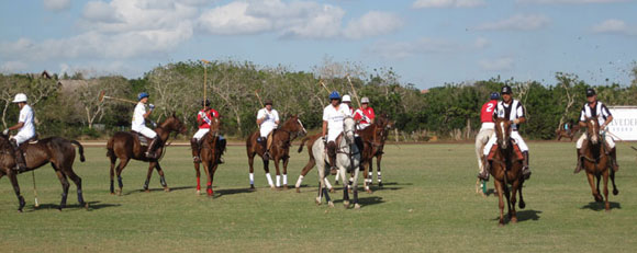 polo_top