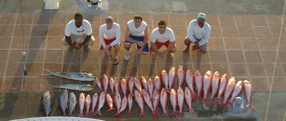 fish_top fish_top
