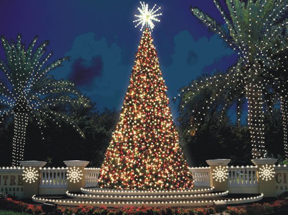 Animated Tree Animated Tree
