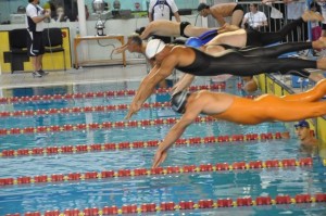 swim swim