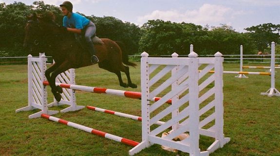 14 horse jumping - Casa de Campo Living 14 horse jumping - Casa de Campo Living