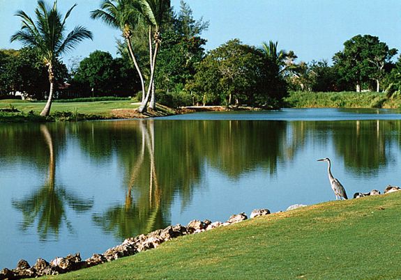 memories_of_casa_de_campo_golf