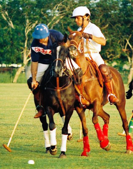 03 Horse pressure is on in a real polo match