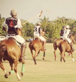 casa de campo polo