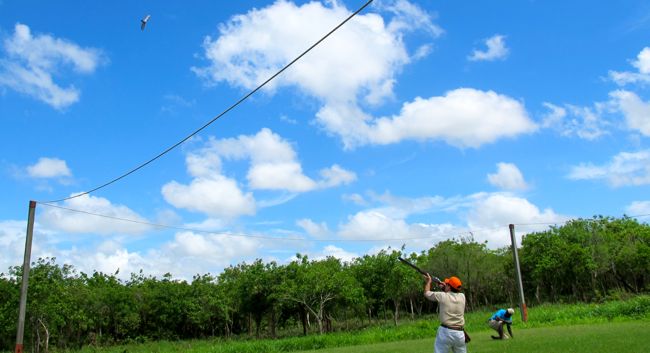 casa de campo shooting