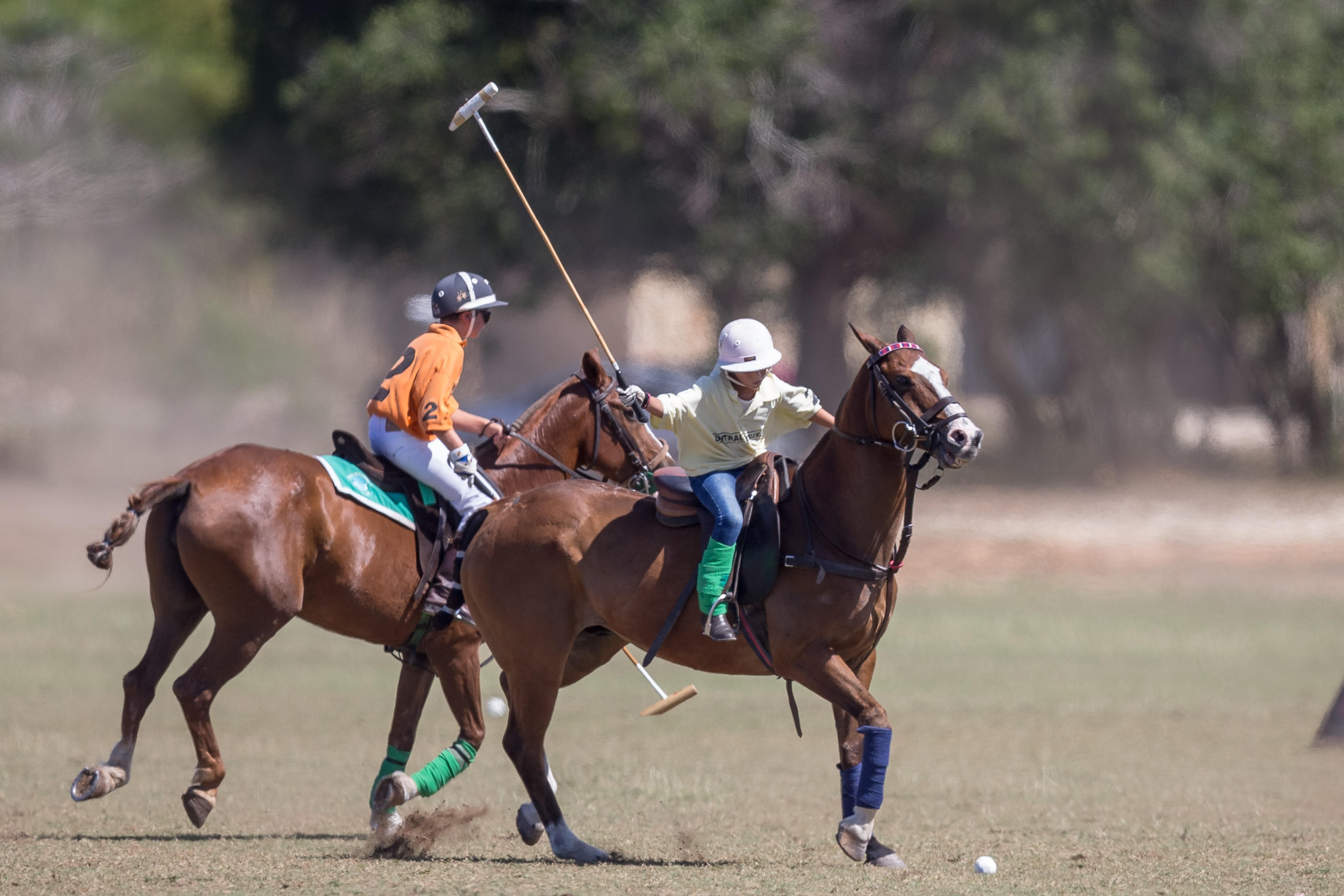 Featured Image Polo Clinics for Kids